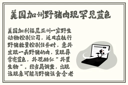 秋瓷炫人体